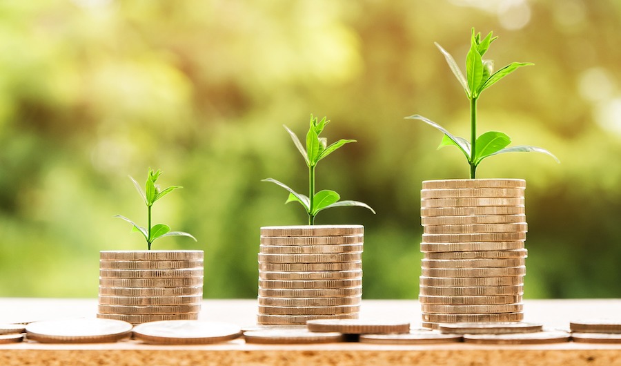pflanze auf geld nachhaltigkeit im finanzsektor